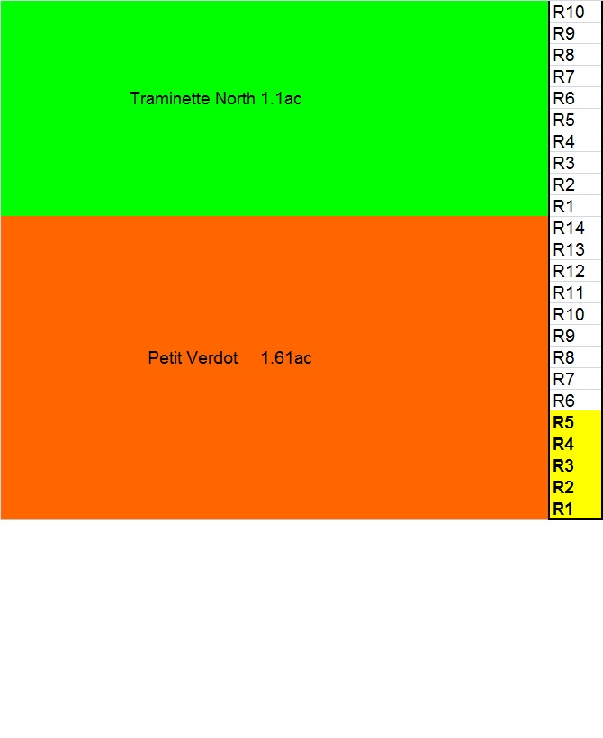 TNPV
